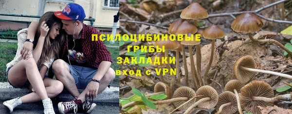 спайс Касимов