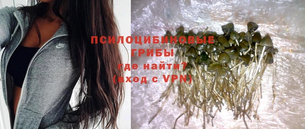 дживик Карталы